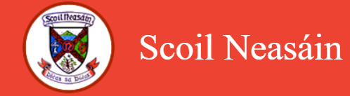Scoil Neasain - Cuntas Scoile