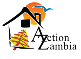 Coláiste Chiaráin ACTION ZAMBIA 